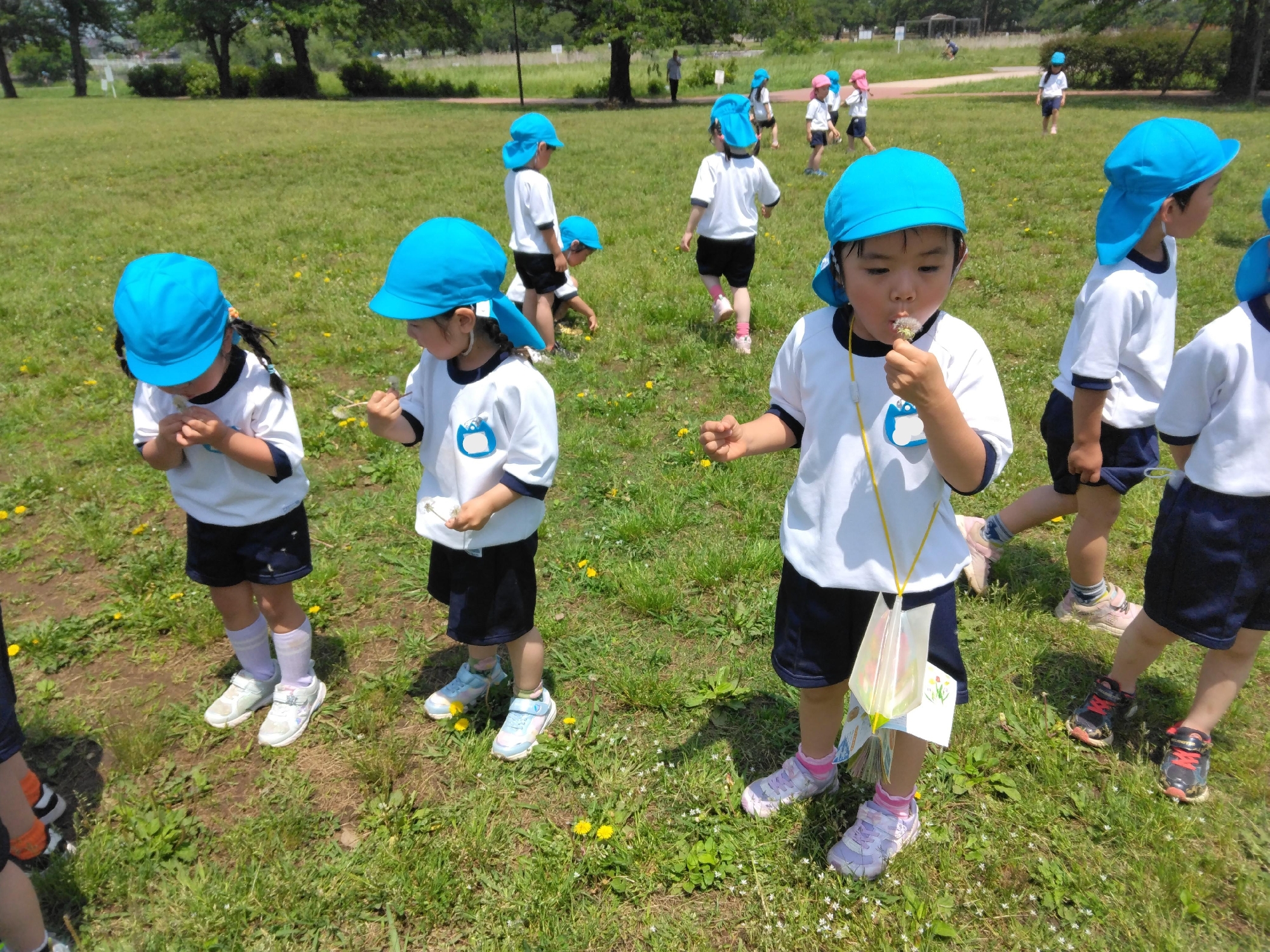 年中組　園外保育　柏ふるさと公園